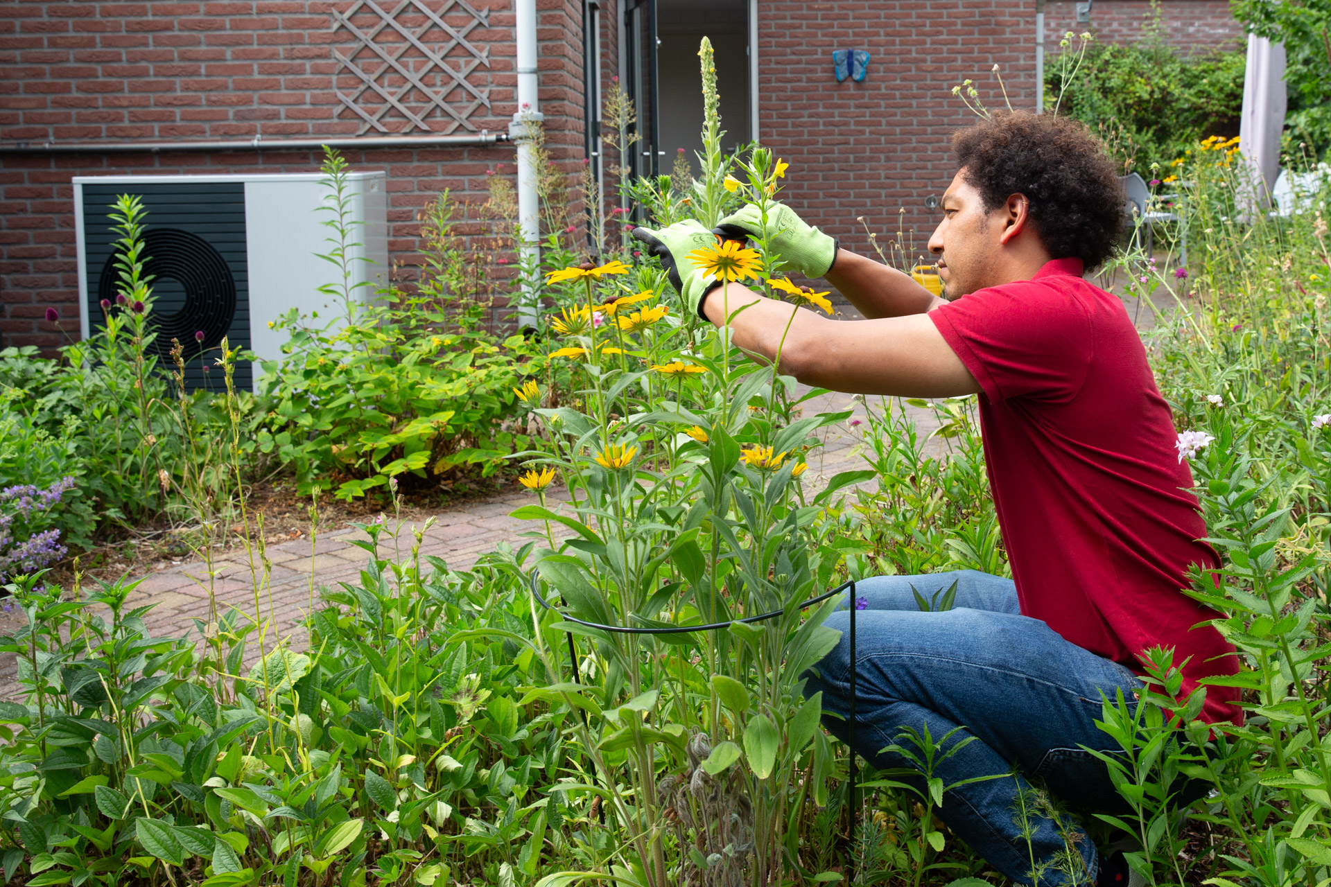 Warmtepomp: Tips En Uitleg | Milieu Centraal